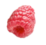 rasp-big